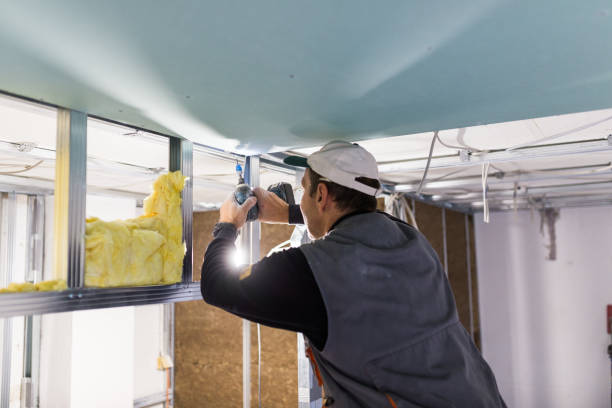 Best Spray Foam Insulation in Fair Plain, MI