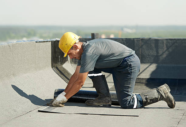 Best Commercial Insulation in Fair Plain, MI